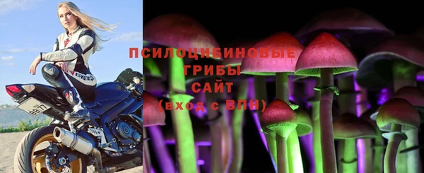 бошки Калининец