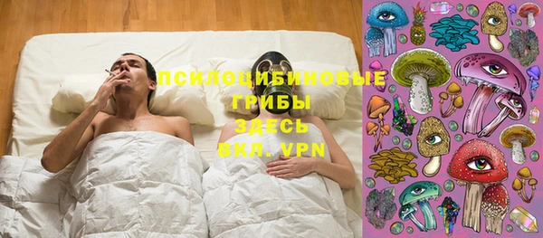 прущий лед Инта